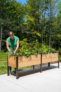 2026 Nuevo Elevated Cedar Planter Box 2 x 8
