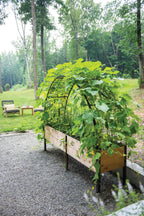 2026 Nuevo Elevated Cedar Planter Box 2 x 8