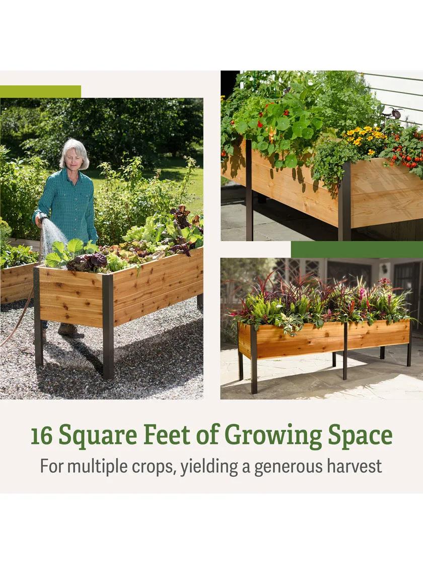 2026 Nuevo Elevated Cedar Planter Box 2 x 8
